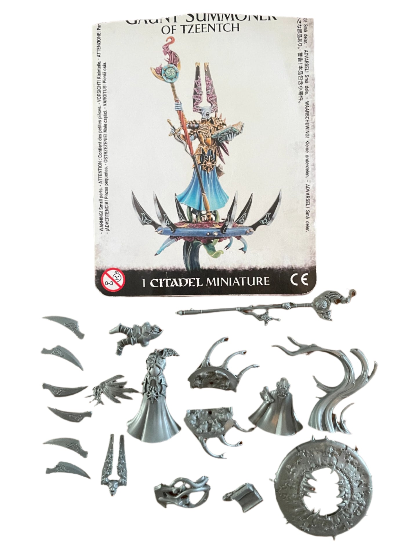Warhammer Age of Sigmar Disciples of Tzeentch Gaunt Summoner