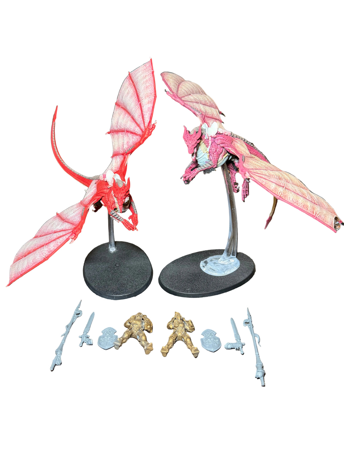 Warhammer Age of Sigmar Stormcast Eternals Stormdrake Guard