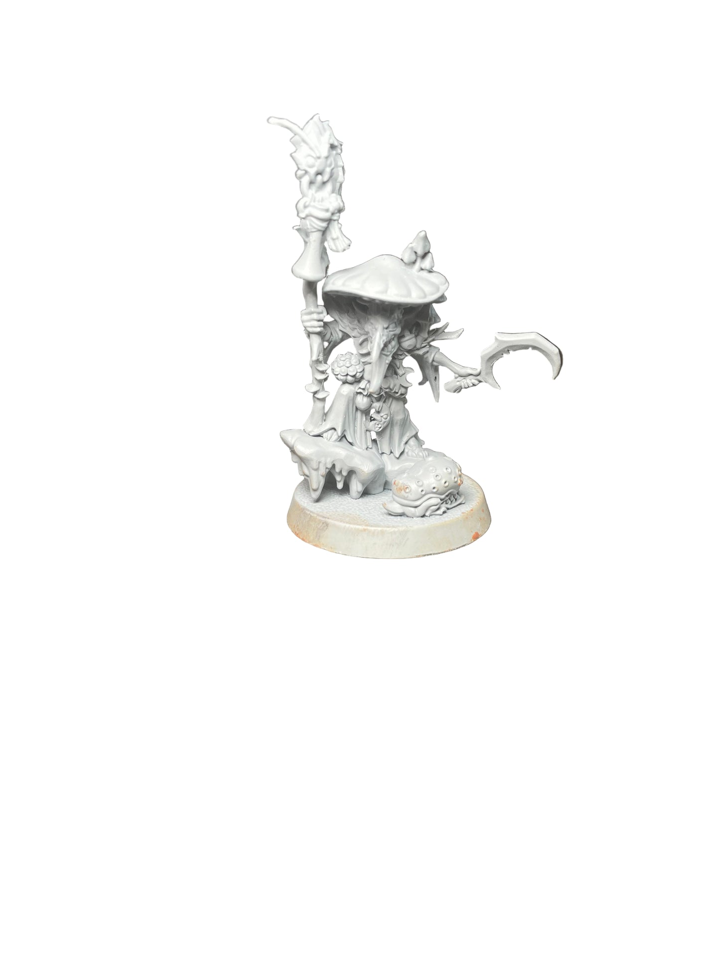 Warhammer Age of Sigmar Gloomspite Gitz Fungoid Cave Shaman