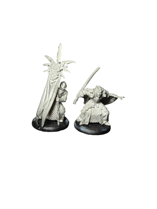 Privateer Press Warmachine Hordes Legion of Everblight Captain Farilor & Standard Blighted Nyss Legionnaire