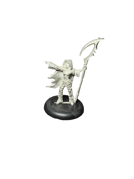 Privateer Press Warmachine Hordes Legion of Everblight Blighted Nyss Shepherd