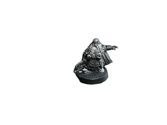 Warhammer Middle Earth Lord Balin