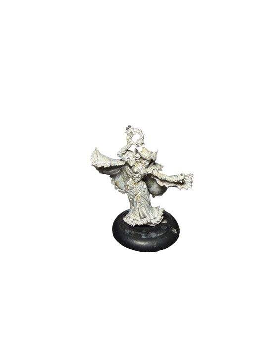 Privateer Press Warmachine Hordes Legion of Everblight Vayl, Consul of Everblight