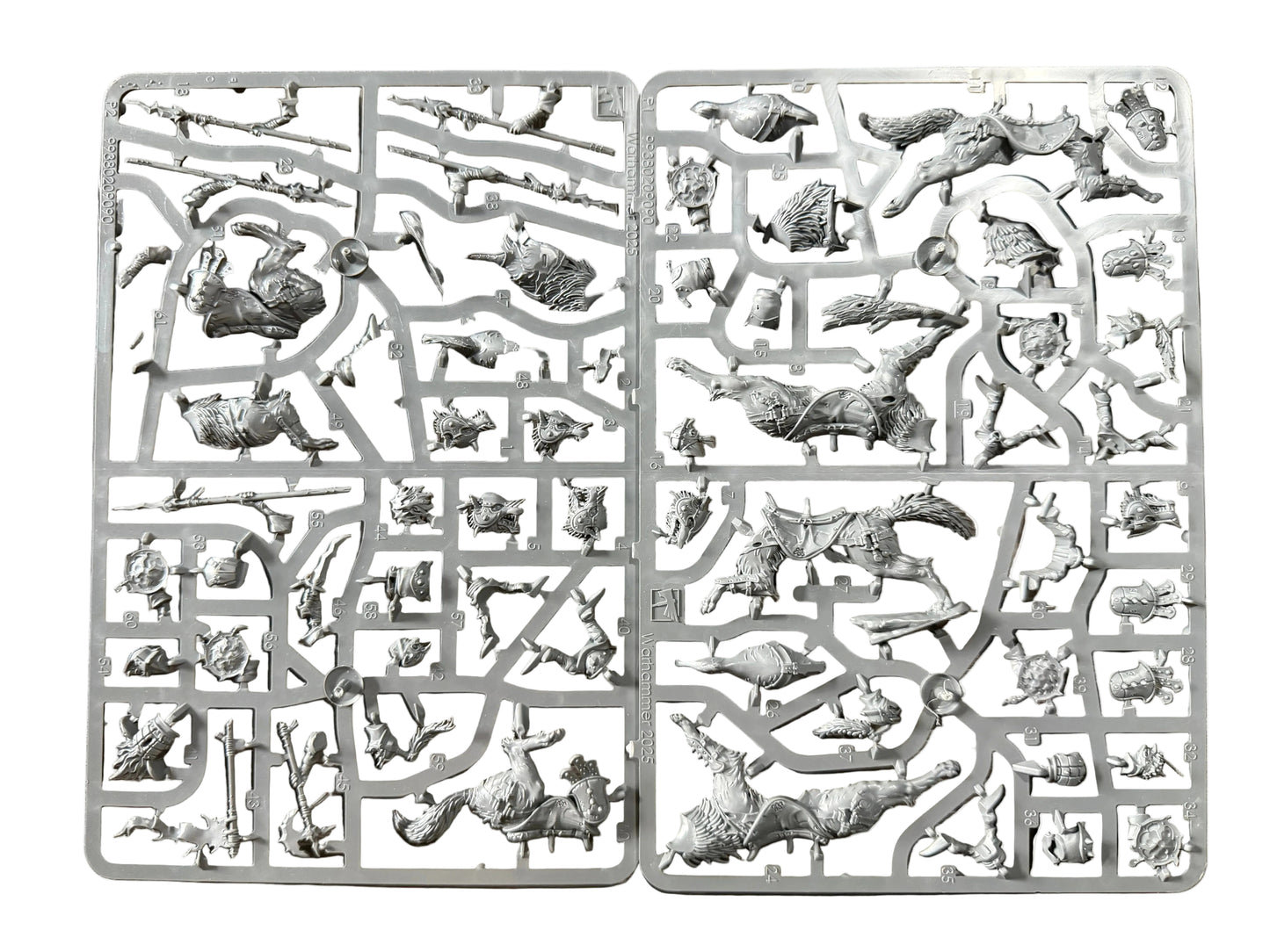 Warhammer Age of Sigmar Gloomspite Gitz Snarlpack Cavalry