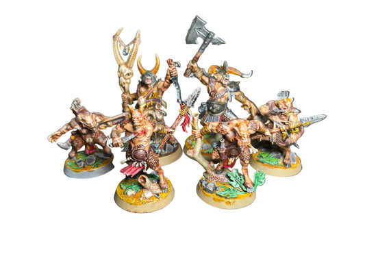 Warhammer Age of Sigmar Warcry Grashrak's Despoilers