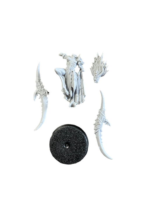 Warhammer Age of Sigmar Hedonites of Slaanesh Tranceweaver Viceleader