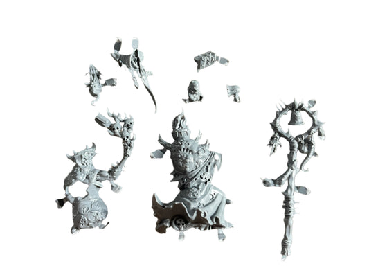 Warhammer Age of Sigmar Maggotkin of Nurgle Sorcerer Ethrac Glottkin