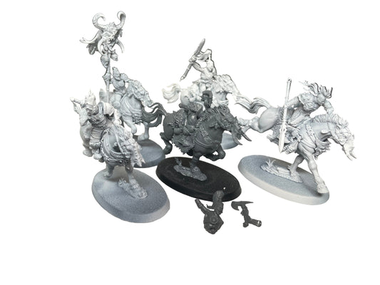 Warhammer Age of Sigmar Slaves to Darkness Darkoath Fellriders