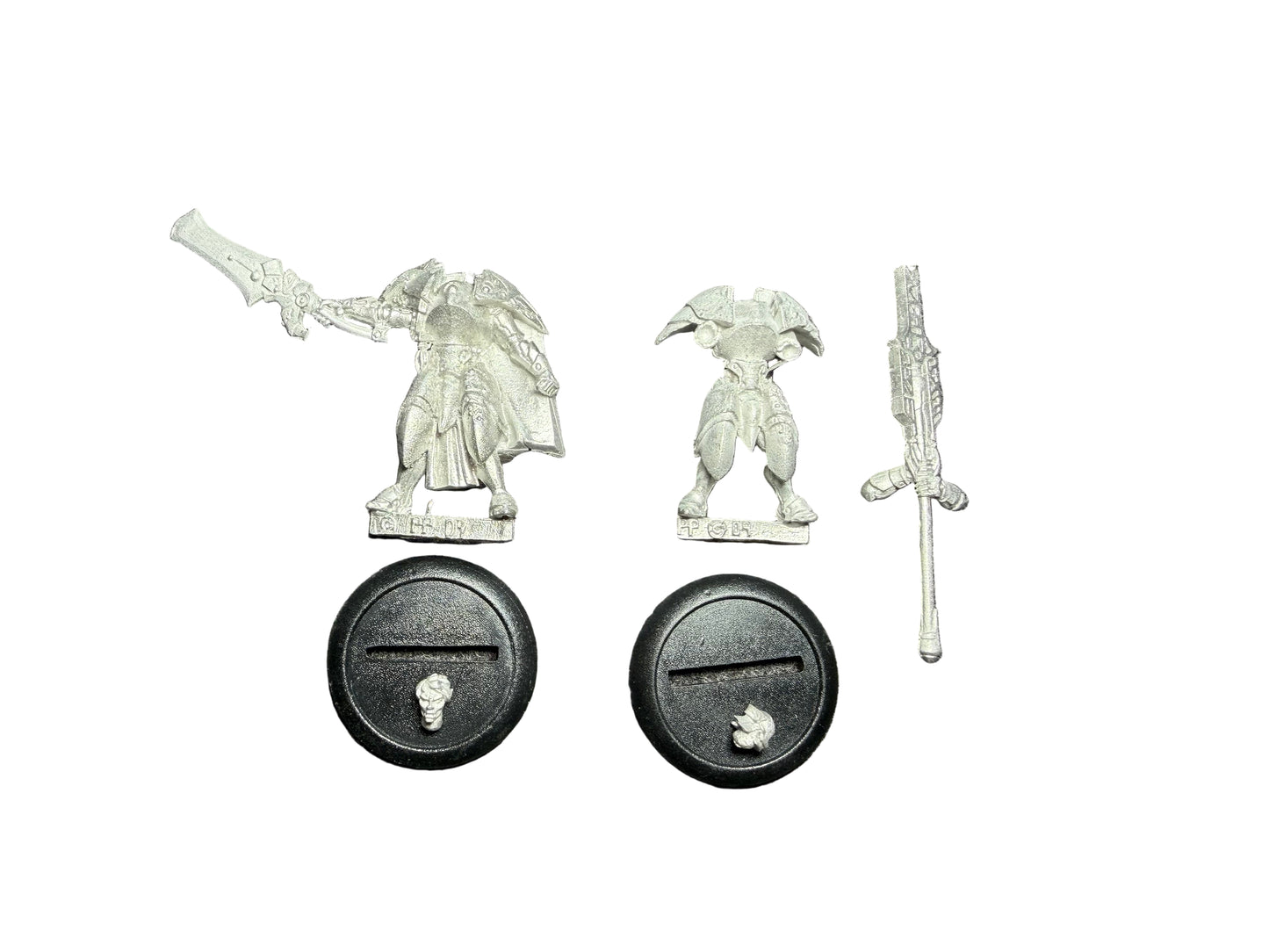 Privateer Press Warmachine Retribution of Scyrah Dawnguard Sentinel Officer & Standard