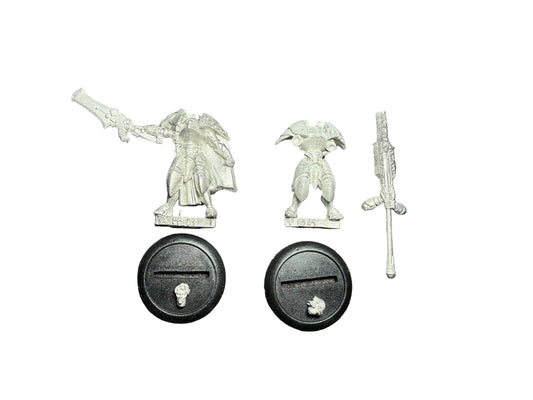 Privateer Press Warmachine Retribution of Scyrah Dawnguard Sentinel Officer & Standard