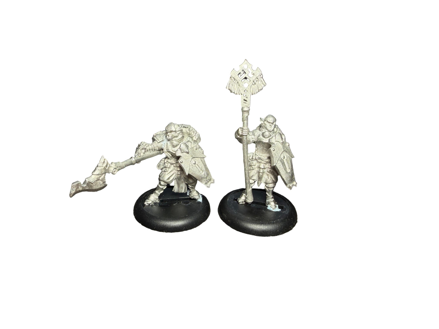 Privateer Press Warmachine Retribution of Scyrah Houseguard Halberdier Officer and Standard Bearer