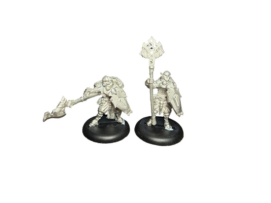 Privateer Press Warmachine Retribution of Scyrah Houseguard Halberdier Officer and Standard Bearer