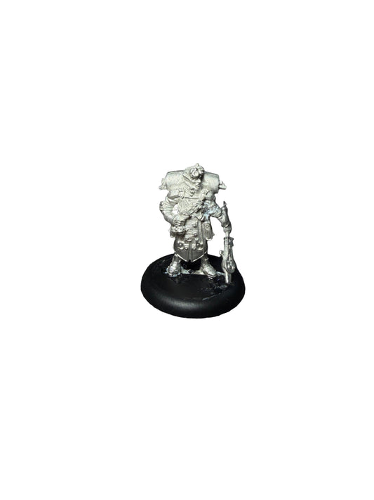 Privateer Press Warmachine Retribution of Scyrah Arcanist