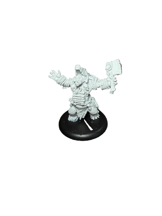 Privateer Press Warmachine Hordes Gatorman Boil Master & Spirit Cauldron