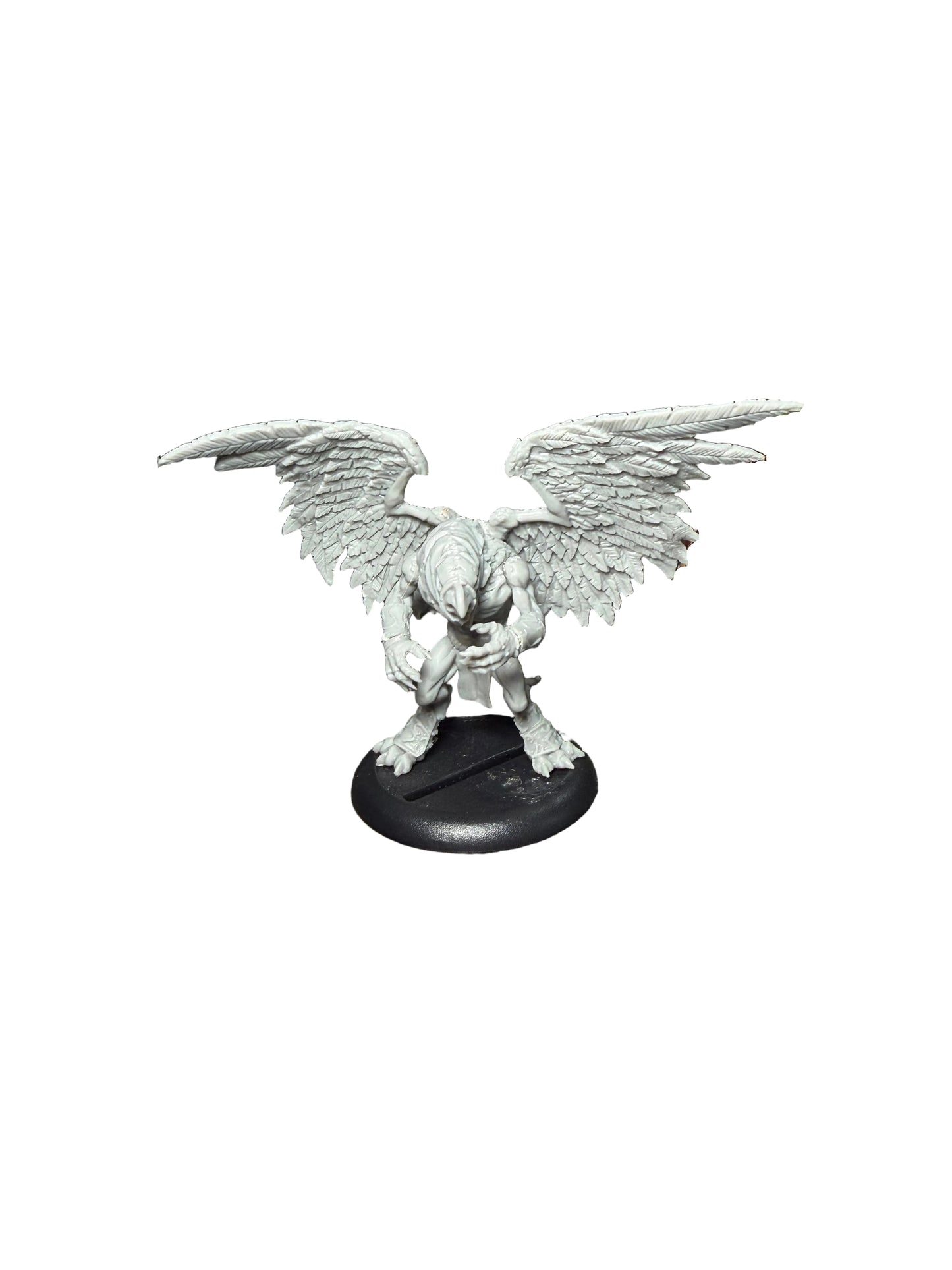 Privateer Press Warmachine Hordes Circle Orboros Scarsfell Griffon