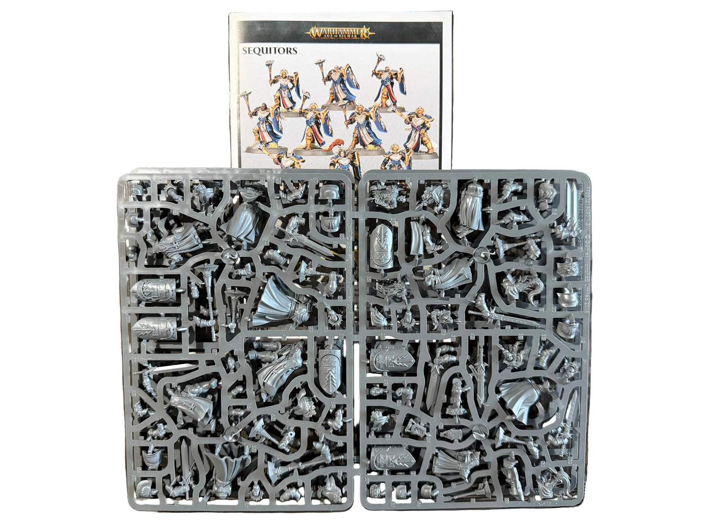 Warhammer Age of Sigmar Stormcast Eternals Sequitors