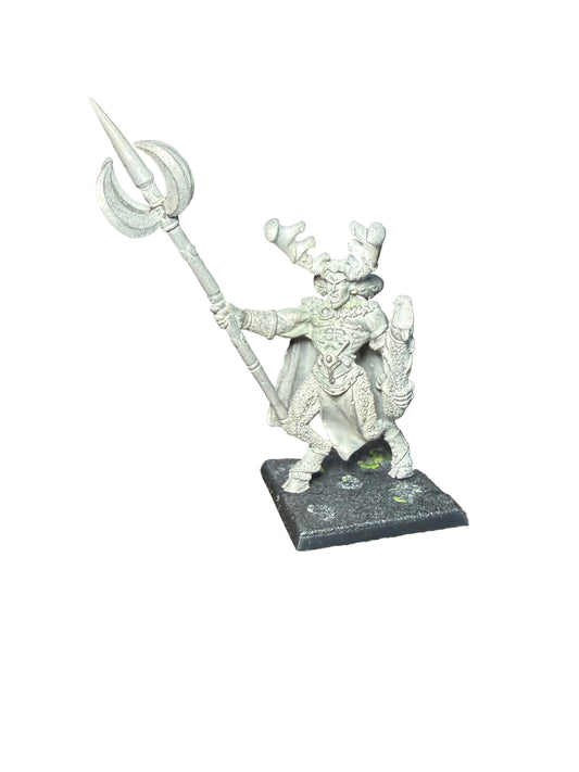 Warhammer Fantasy Old World Wood Elves Orion King in the Woods