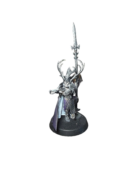 Warhammer Fantasy Age of Sigmar Wood Elves Nomad Prince