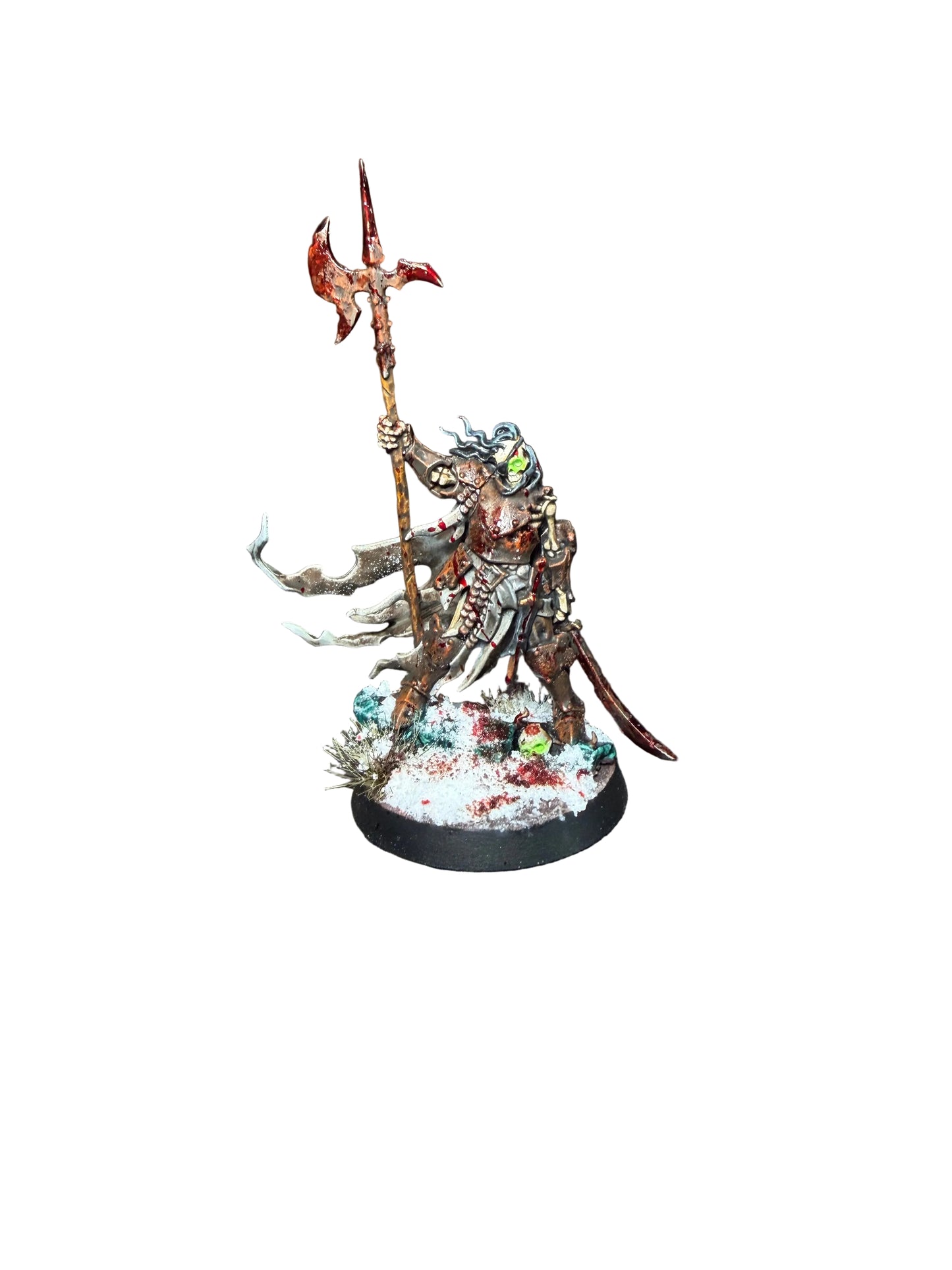 Warhammer Age of Sigmar Cursed City Soulblight Gravelords Watch Captain Halgrim