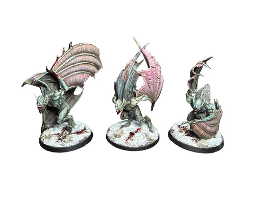 Warhammer Age of Sigmar Soulblight Gravelords Vargheists