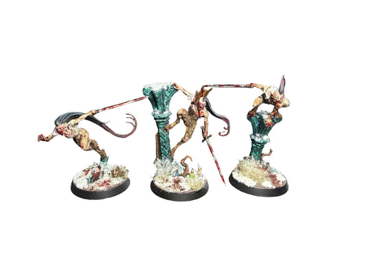 Warhammer Age of Sigmar Cursed City Soulblight Gravelords Vyrkos Blood-Born