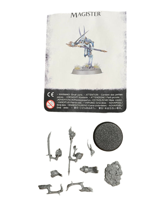 Warhammer Age of Sigmar Disciples of Tzeentch Magister