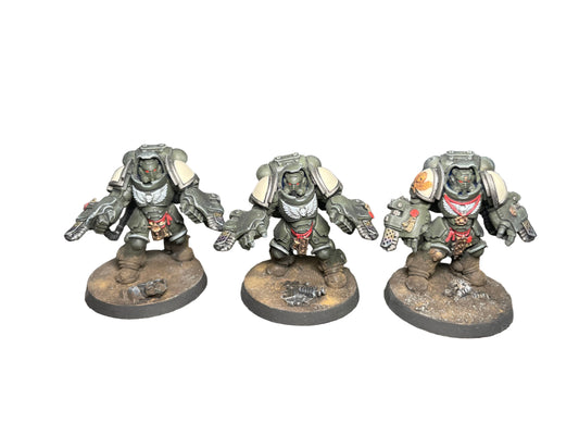 Warhammer 40k Space Marine Primaris Aggressors
