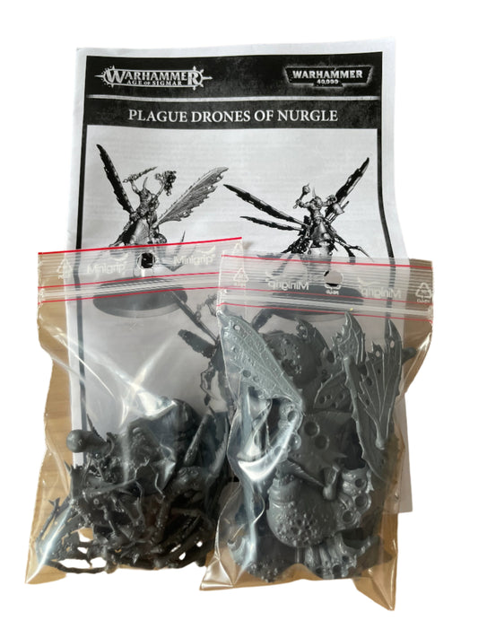 Warhammer Age of Sigmar Maggotkin of Nurgle Plague Drones