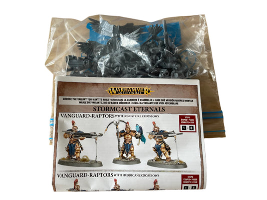 Warhammer Age of Sigmar Stormcast Eternals Vanguard Raptors