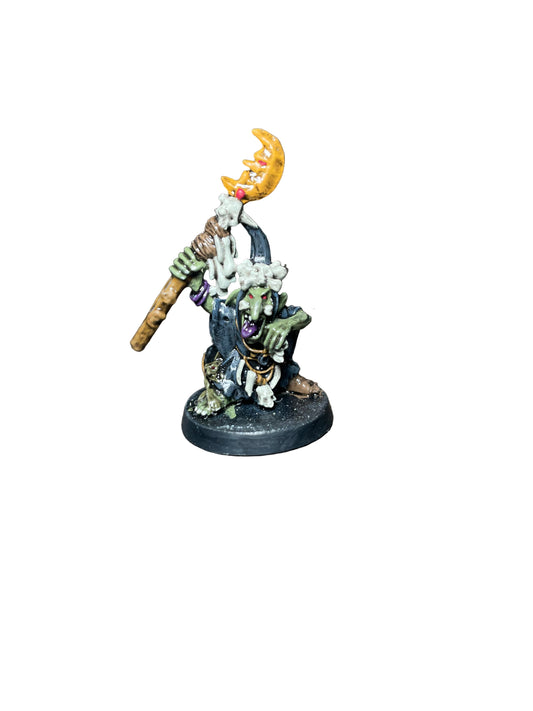 Warhammer Fantasy Old World Orcs and Goblins Night Goblin Shaman