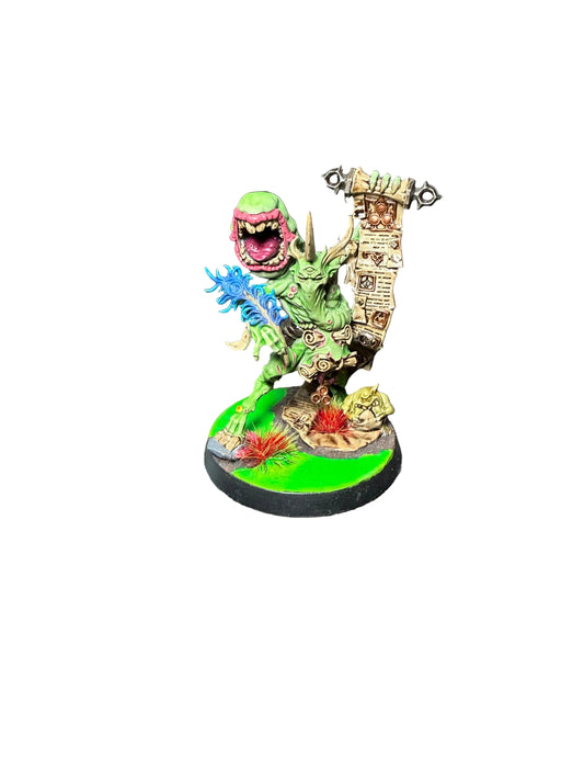 Warhammer Age of Sigmar Maggotkin of Nurgle Spoilpox Scrivener