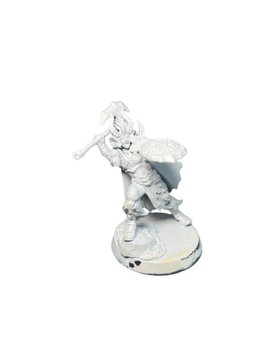 Warhammer Age of Sigmar Slaves to Darkness Darkoath Warqueen Marakarr Blood Sky