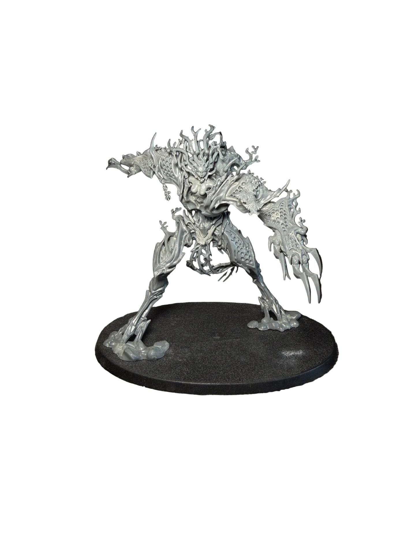 Warhammer Age of Sigmar Sylvaneth Drycha Hamadreth