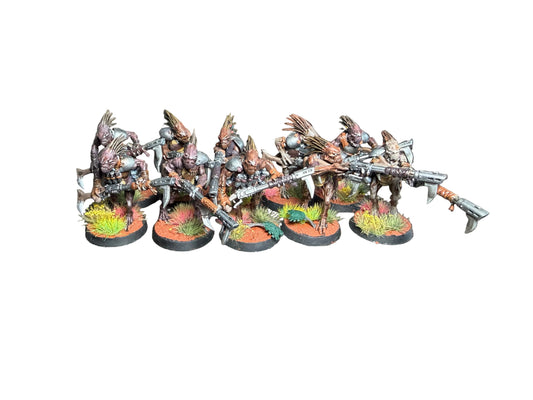 Warhammer 40K Tau Kroot Carnivore Squad