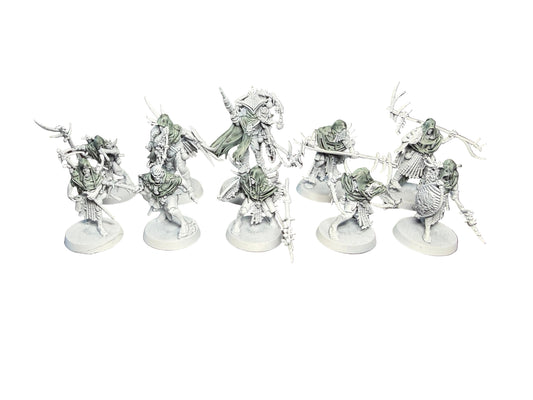 Warhammer Age of Sigmar Warcry Maggotkin of Nurgle Rotmire Creed