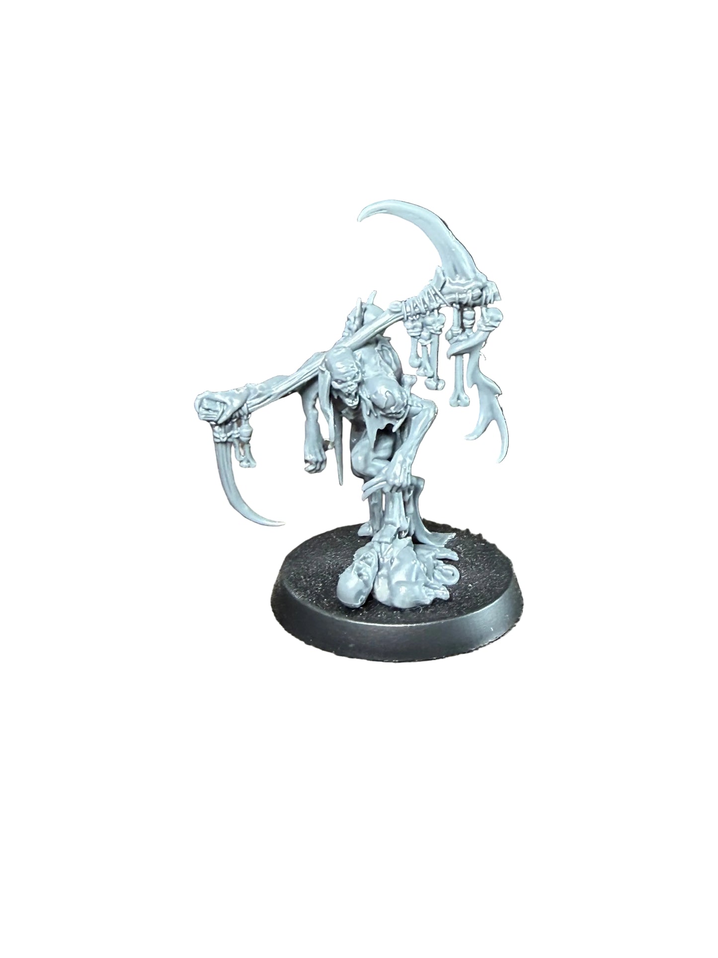 Warhammer Age of Sigmar Flesh Eater Courts Marrowscroll Herald