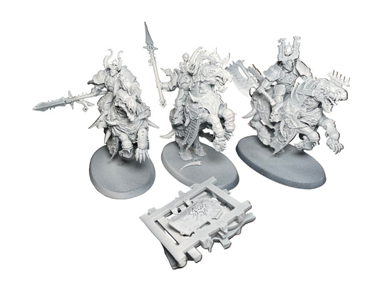 Warhammer Age of Sigmar Slaves to Darkness Varanguard