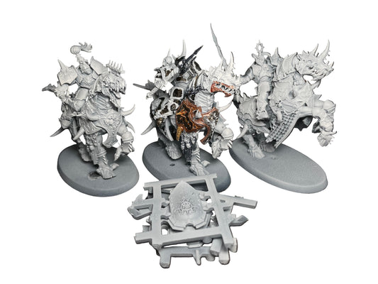 Warhammer Age of Sigmar Slaves to Darkness Varanguard