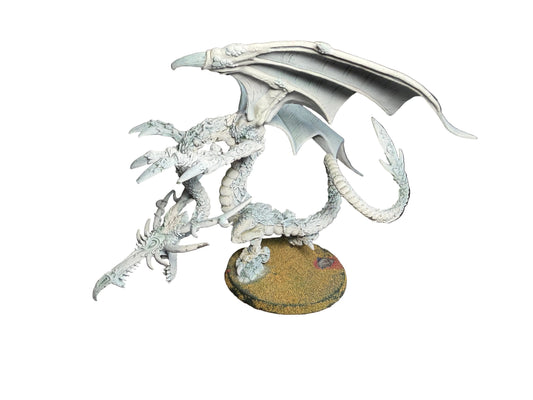 Warhammer Fantasy Old World Wood Elves Sisters of Twilight on Forest Dragon