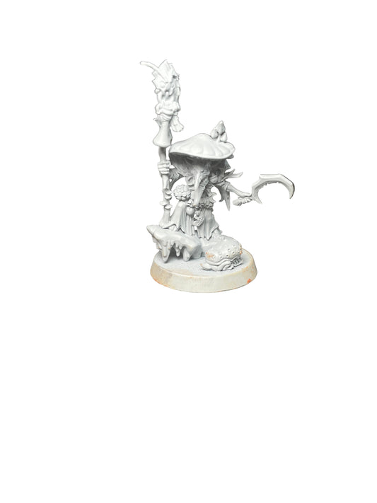 Warhammer Age of Sigmar Gloomspite Gitz Fungoid Cave Shaman
